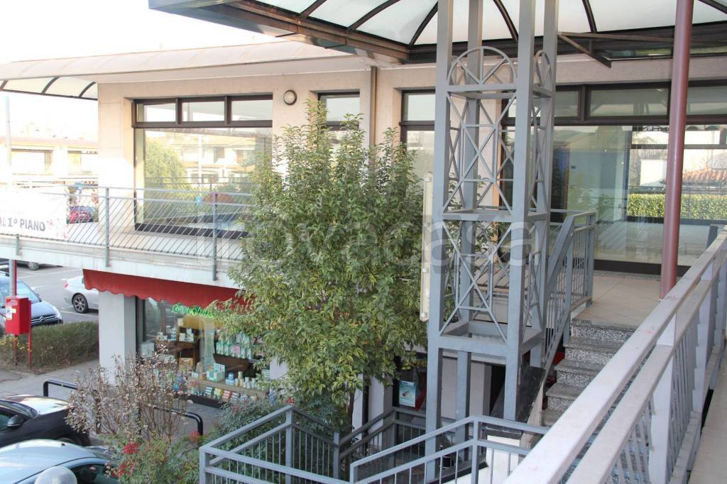 immagine annuncio 3 di 13