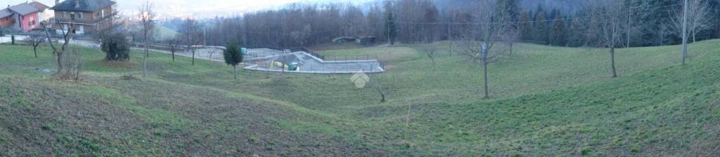 immagine annuncio 5 di 8