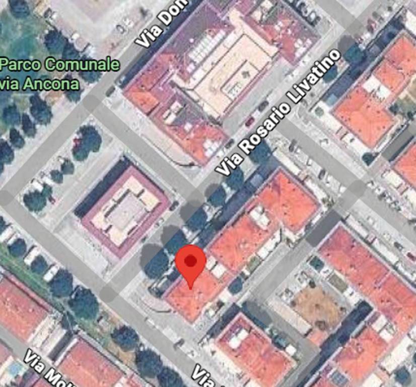 immagine annuncio 3 di 11