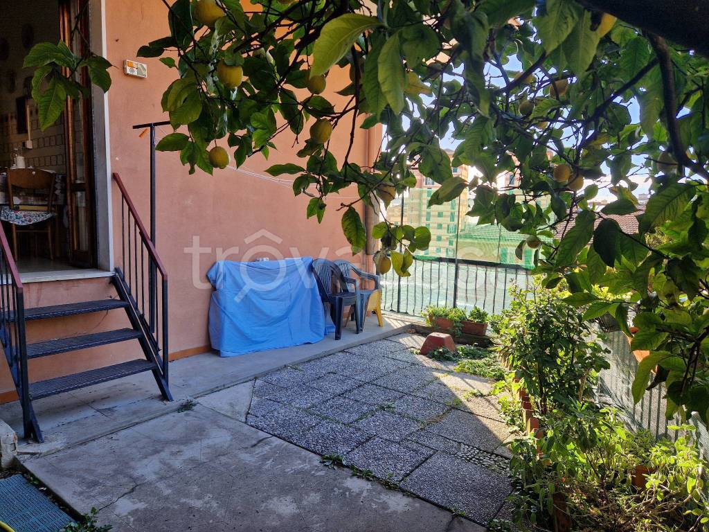 immagine annuncio 12 di 15