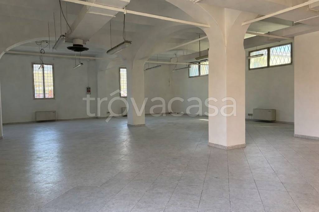 immagine annuncio 5 di 6