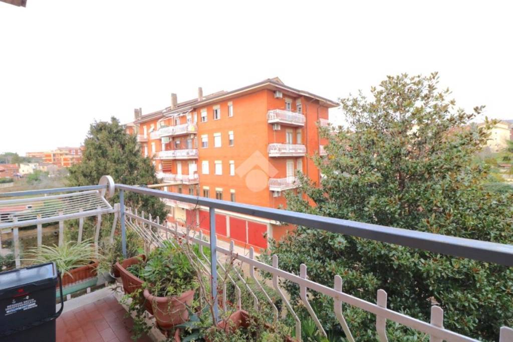 immagine annuncio 5 di 14