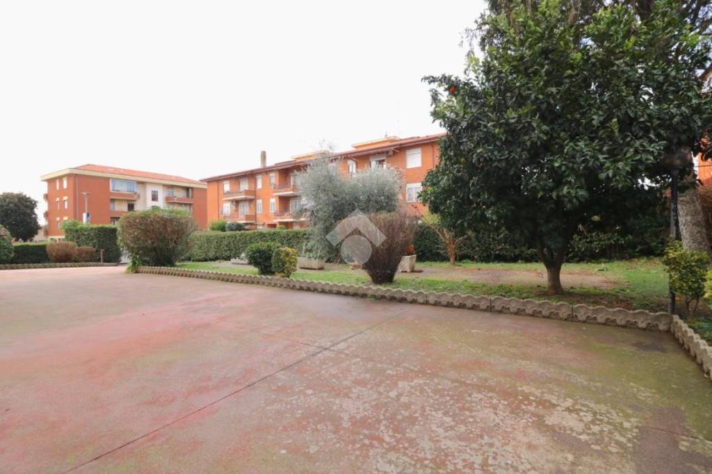 immagine annuncio 9 di 14