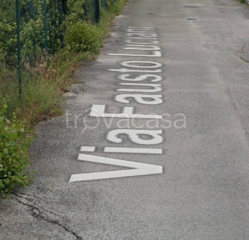 immagine annuncio 12 di 14