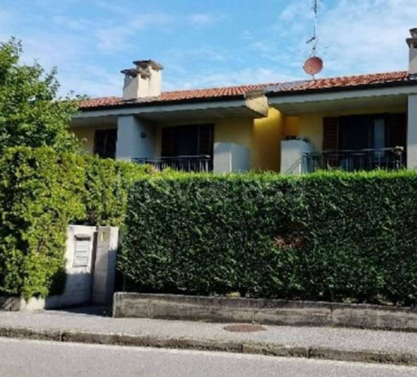 immagine annuncio 4 di 14