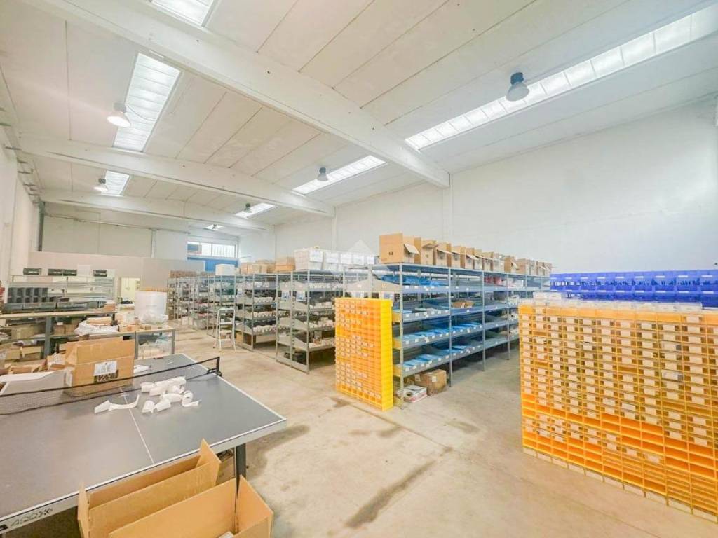 immagine annuncio 11 di 15