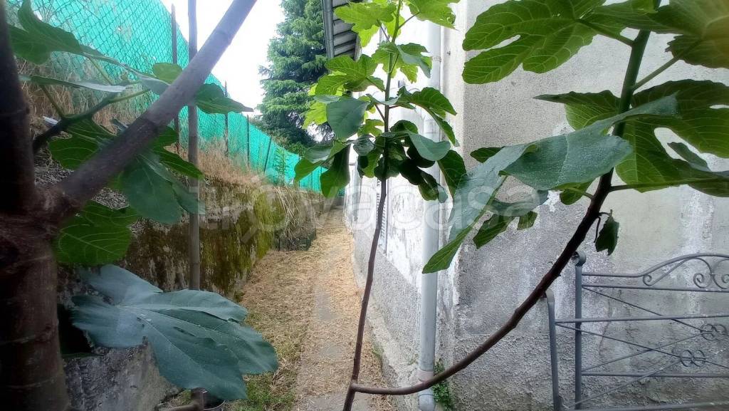 immagine annuncio 4 di 8