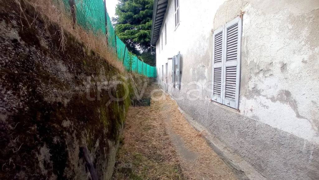 immagine annuncio 5 di 8