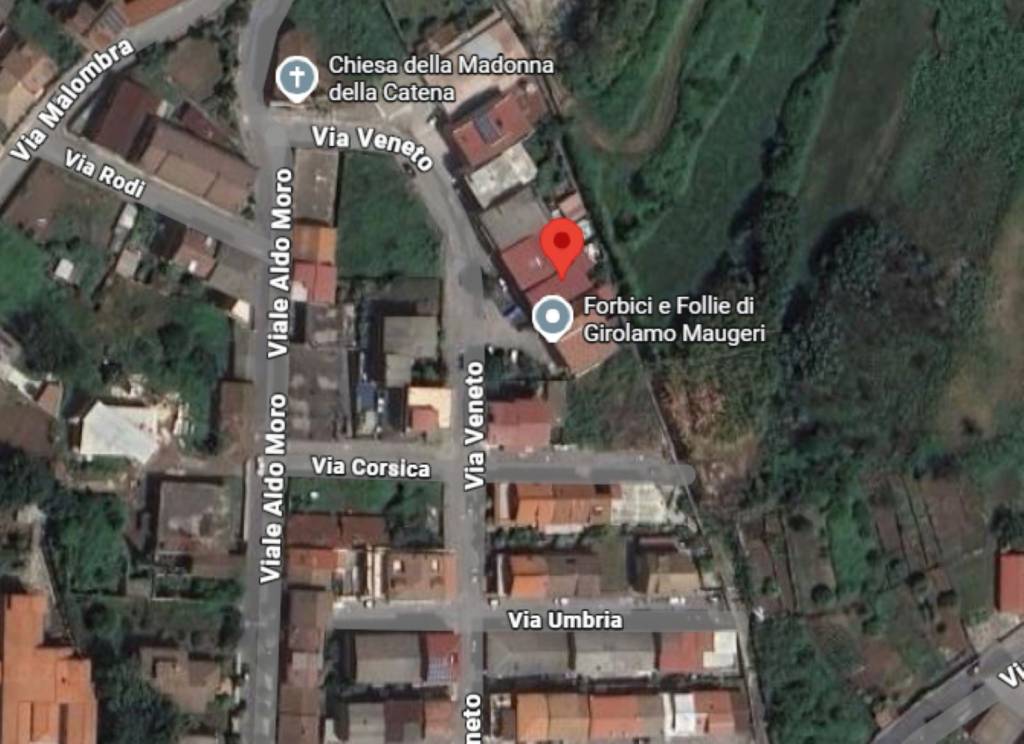 immagine annuncio 2 di 12