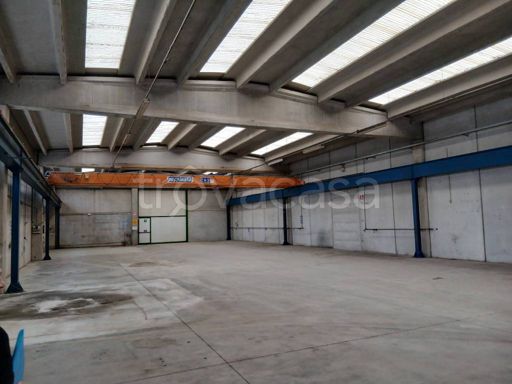 immagine annuncio 5 di 12