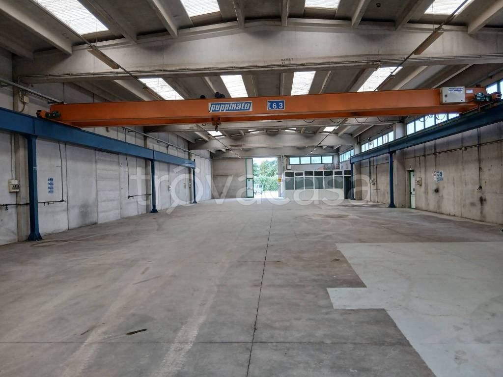 immagine annuncio 2 di 12