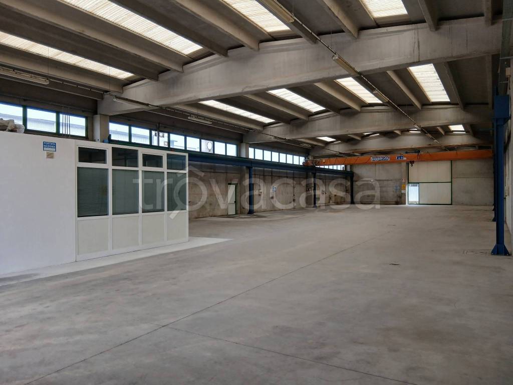 immagine annuncio 3 di 12