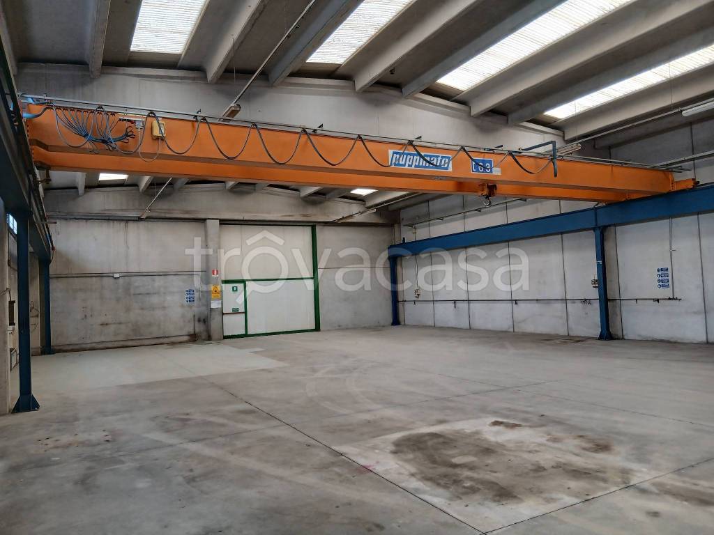 immagine annuncio 1 di 12