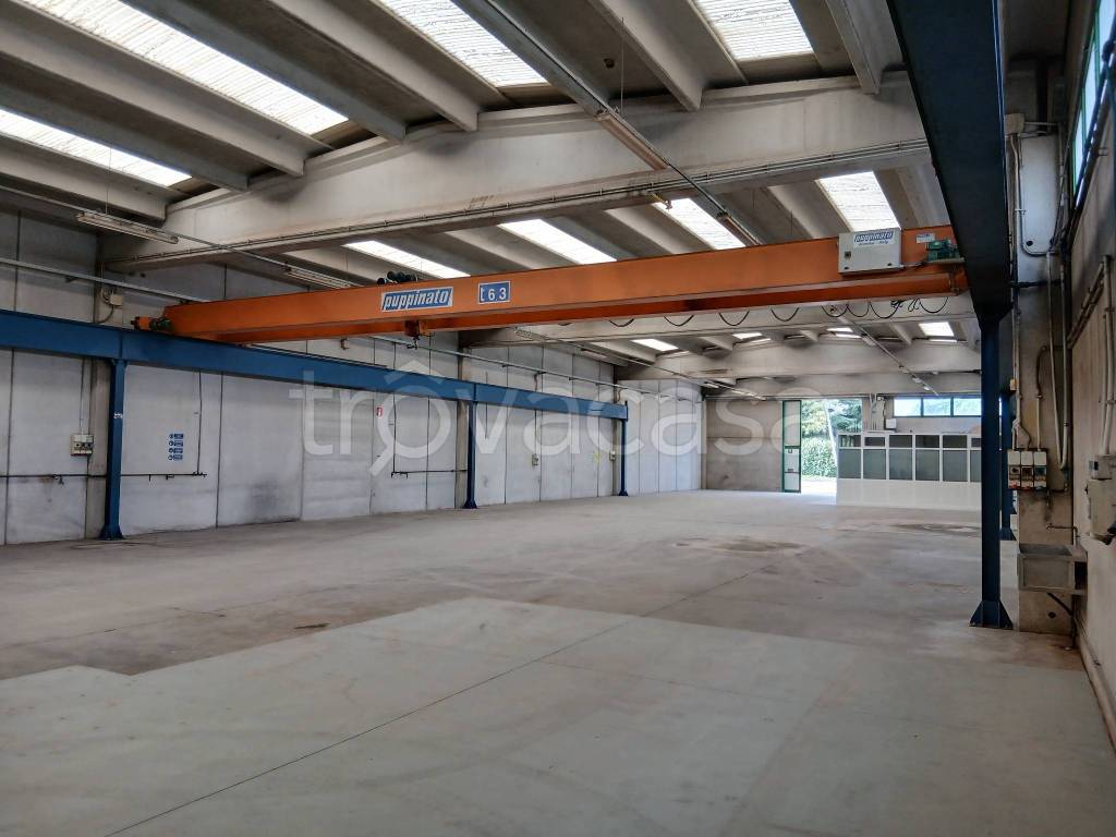 immagine annuncio 4 di 12