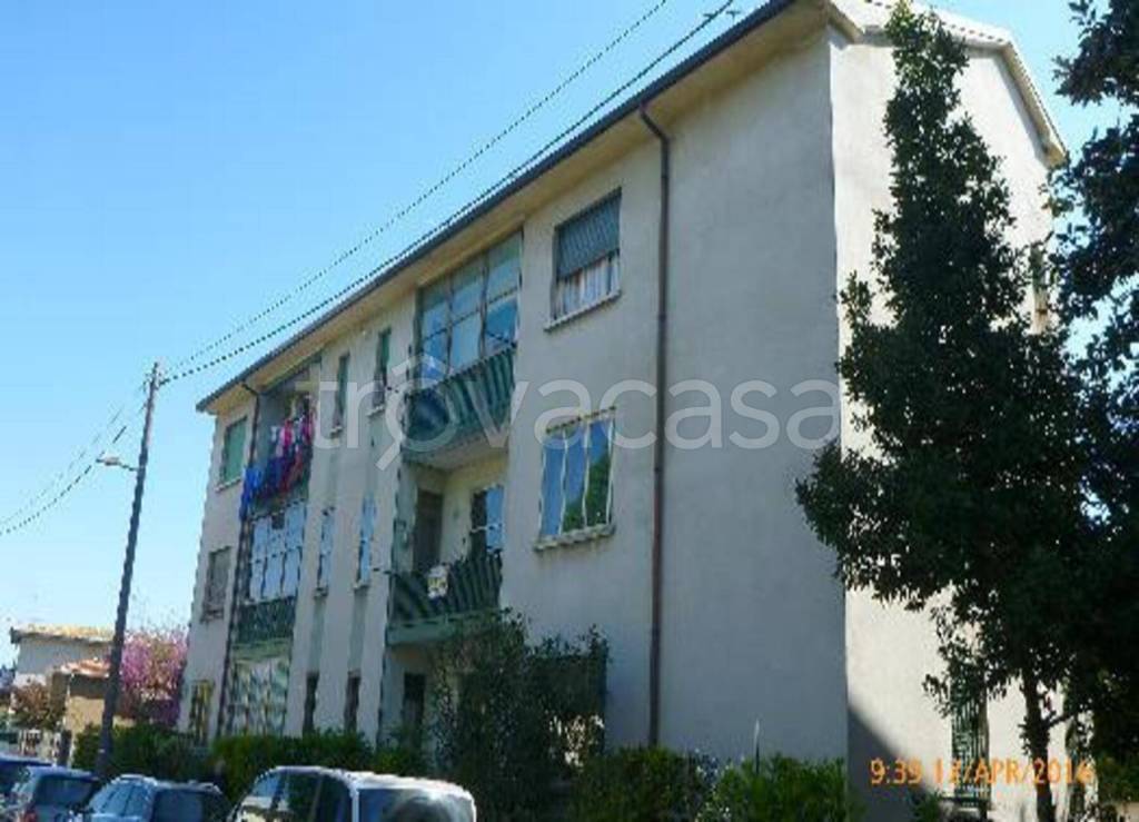 immagine annuncio 7 di 12