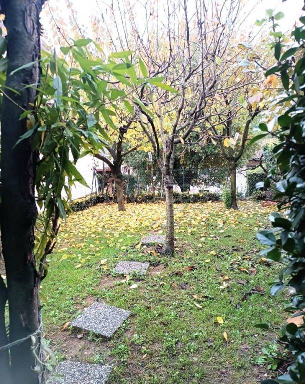 immagine annuncio 1 di 8