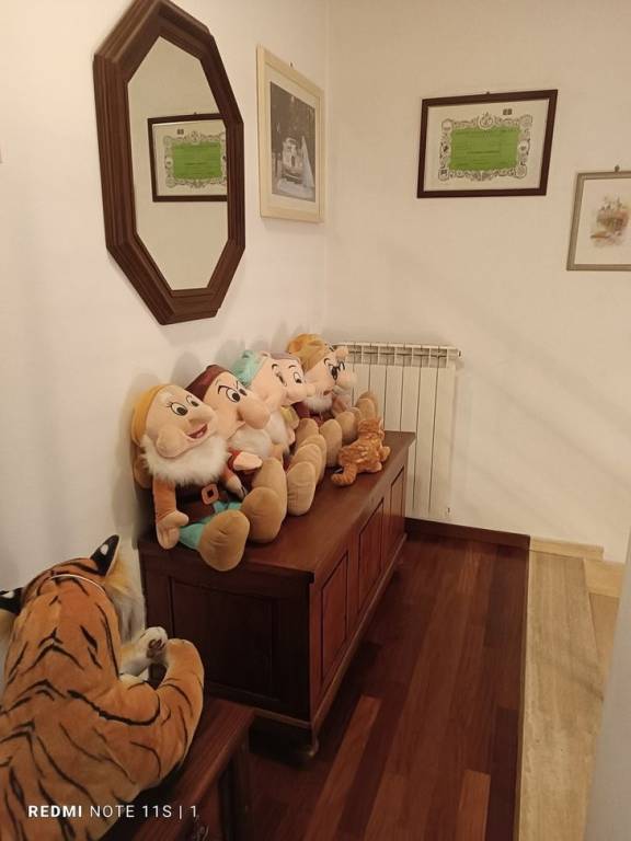 immagine annuncio 6 di 8