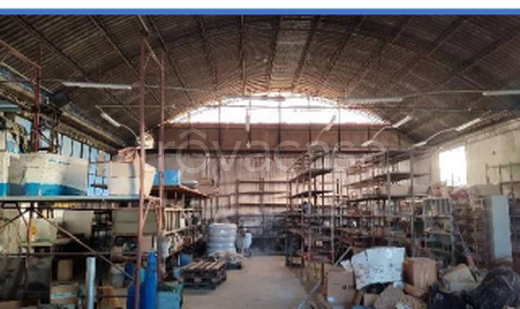 immagine annuncio 3 di 12