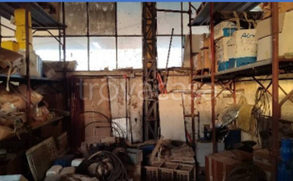 immagine annuncio 4 di 12