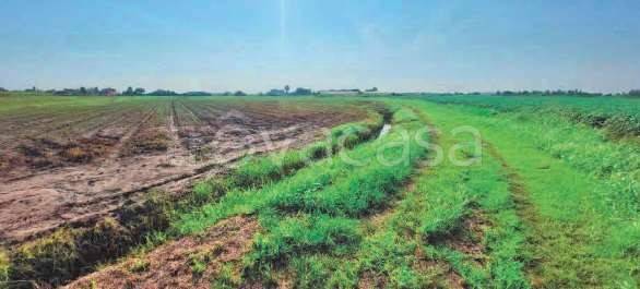 immagine annuncio 2 di 13