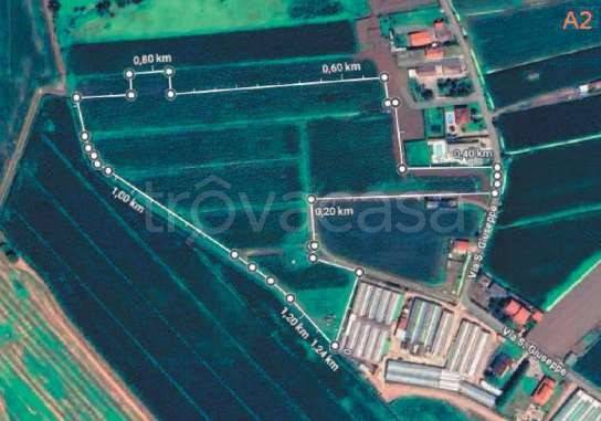 immagine annuncio 6 di 13