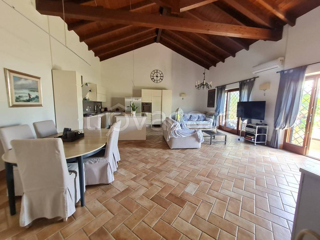 immagine annuncio 9 di 14