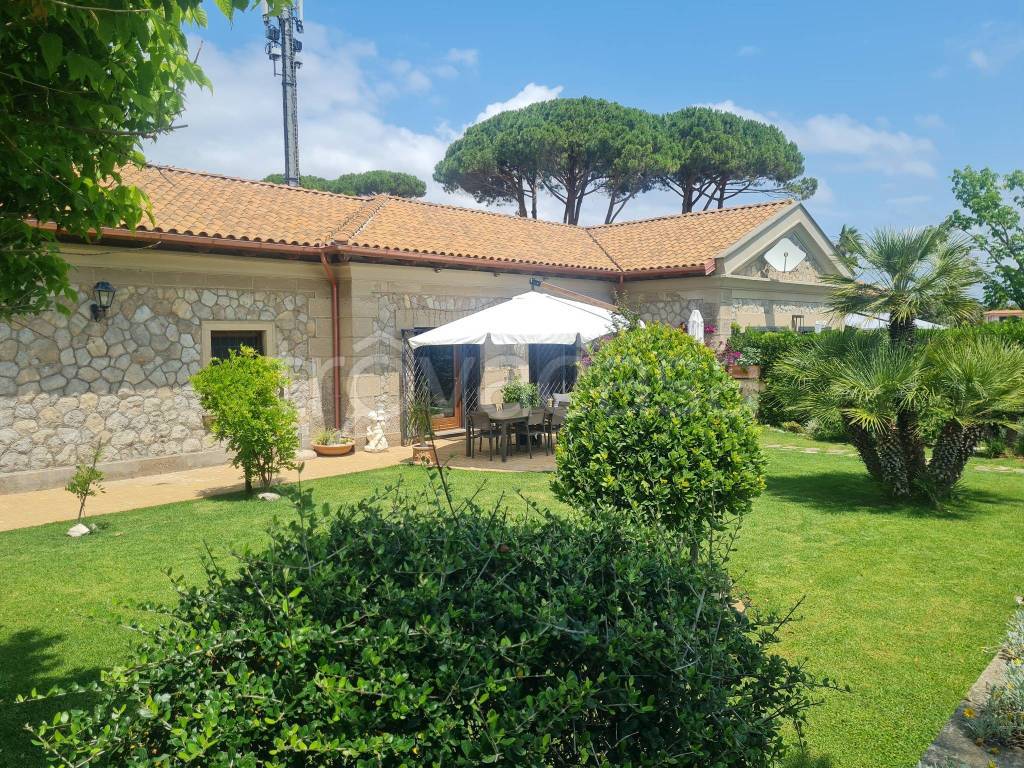 immagine annuncio 12 di 14