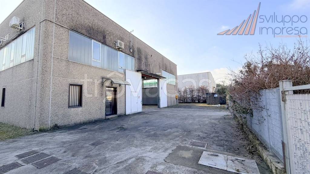 immagine annuncio 3 di 15