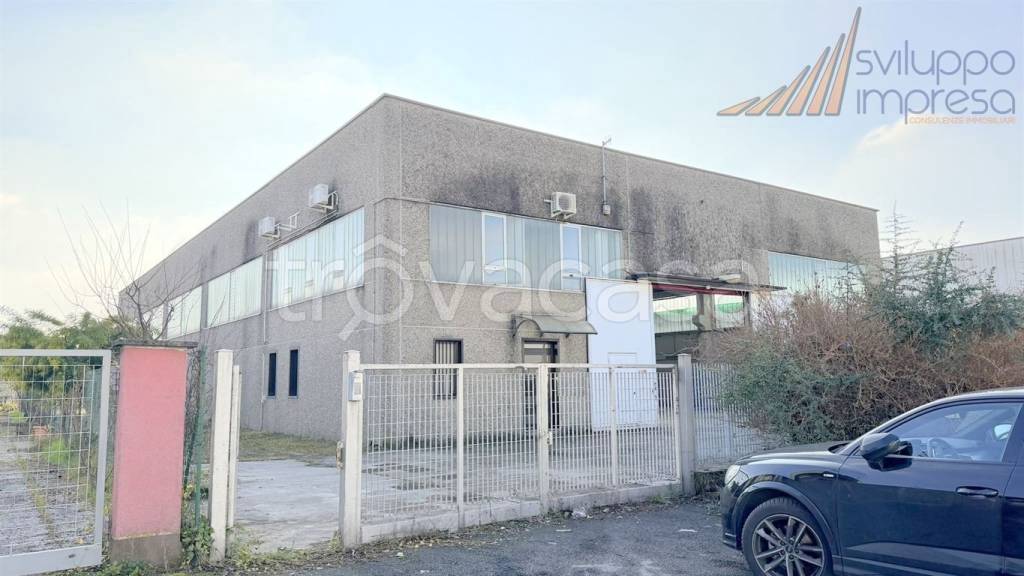 immagine annuncio 4 di 15