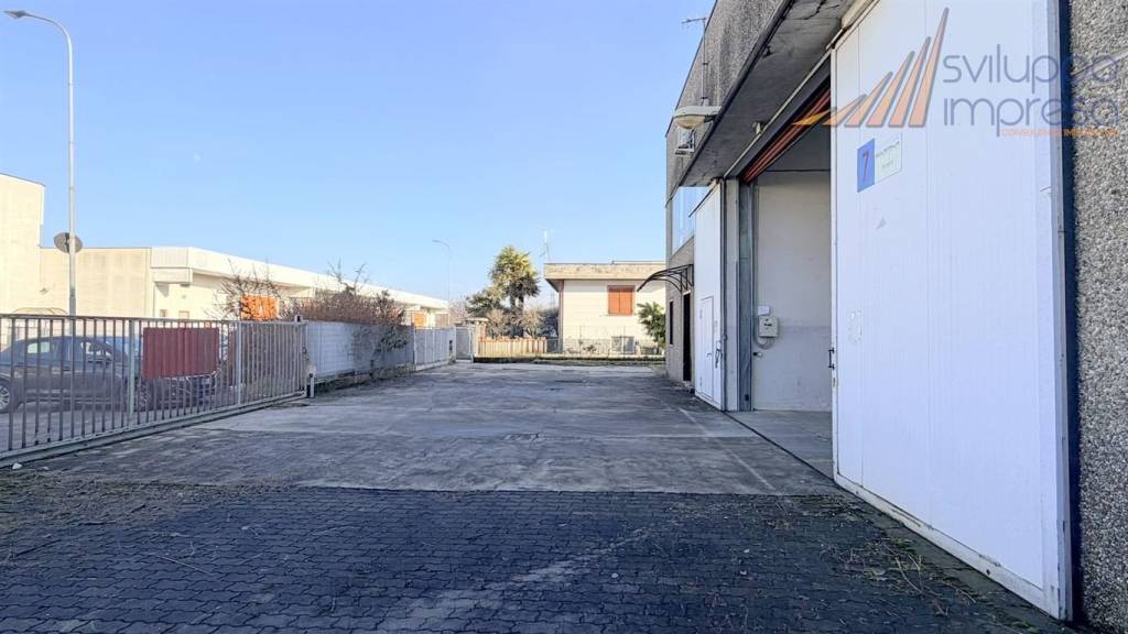 immagine annuncio 7 di 15