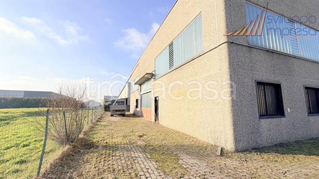 immagine annuncio 8 di 15