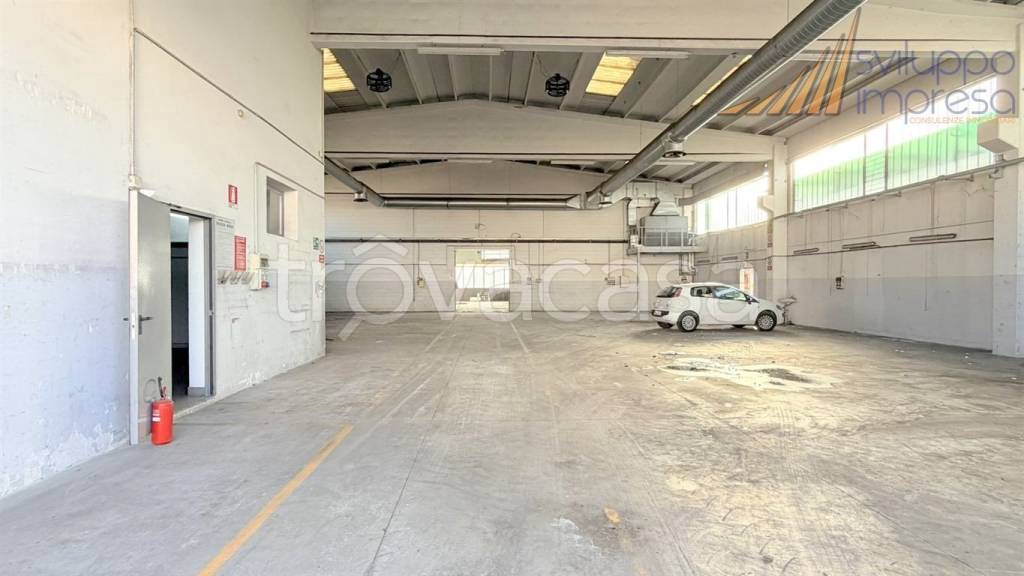 immagine annuncio 11 di 15