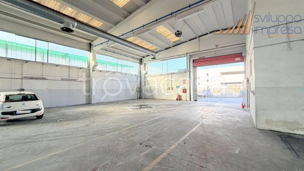 immagine annuncio 12 di 15