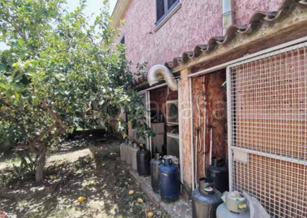 immagine annuncio 7 di 11