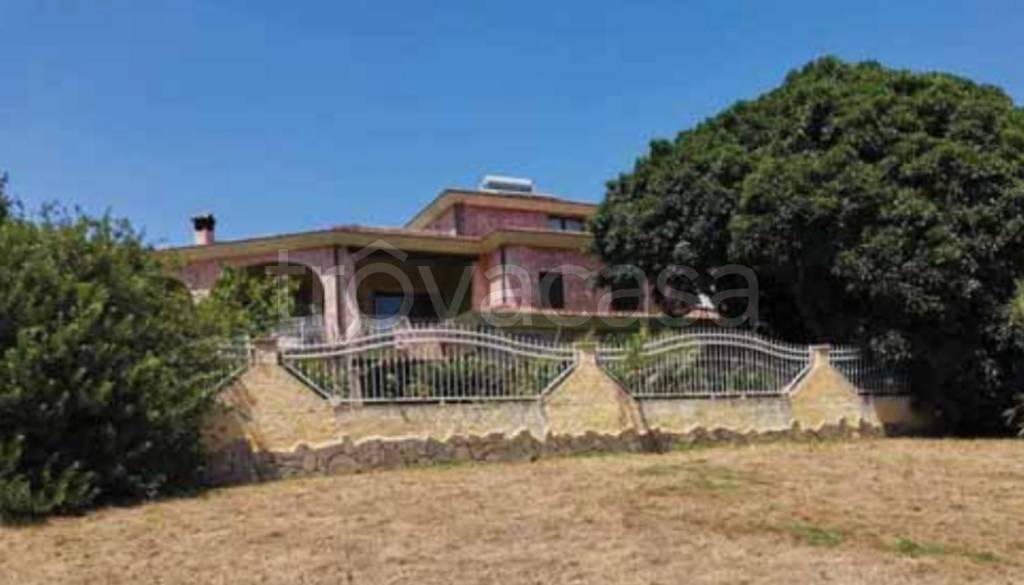 immagine annuncio 9 di 11