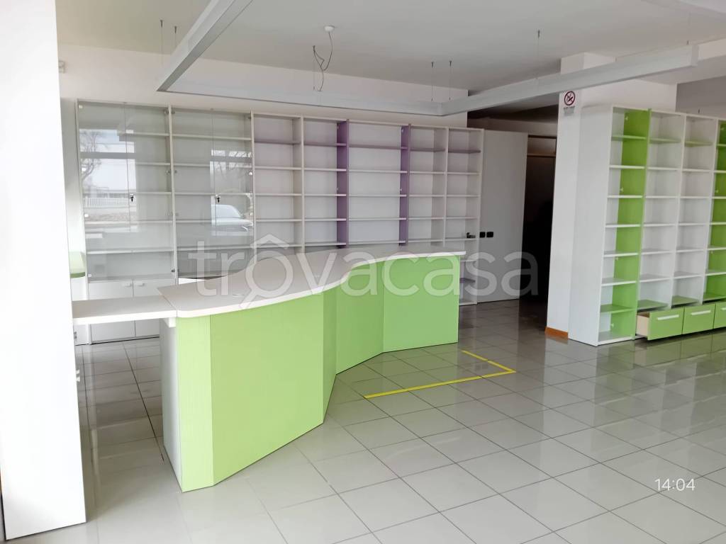 immagine annuncio 2 di 6