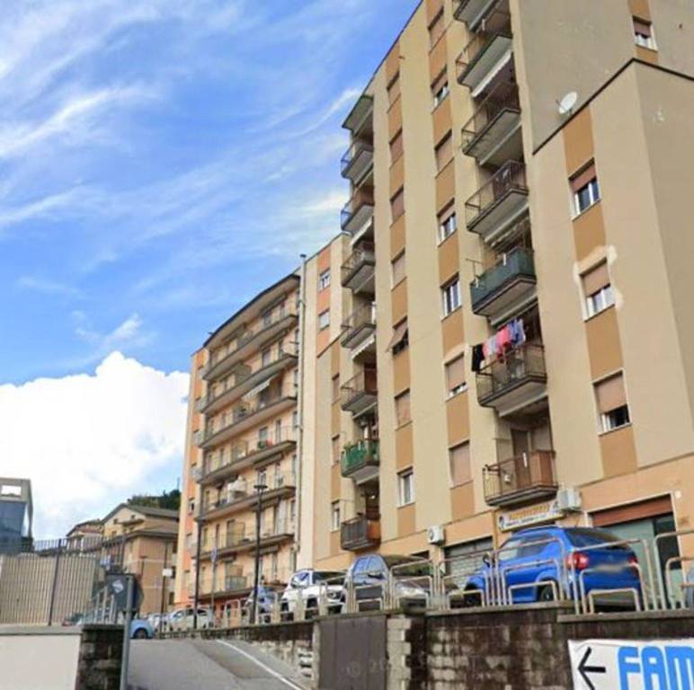 immagine annuncio 3 di 11