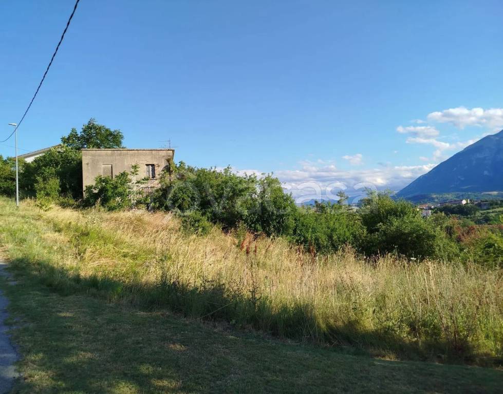 immagine annuncio 1 di 7