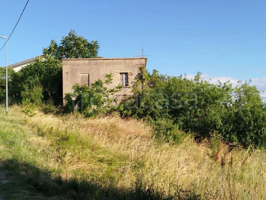 immagine annuncio 3 di 7