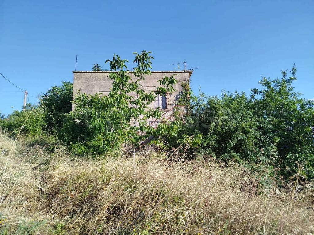 immagine annuncio 4 di 7