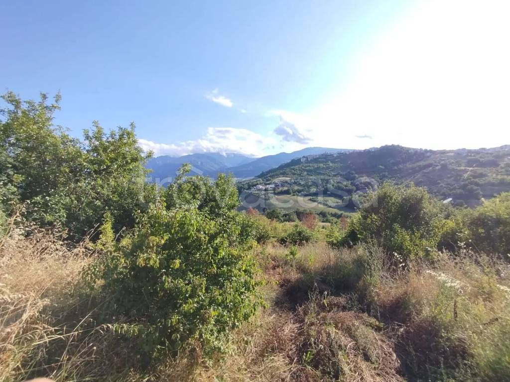 immagine annuncio 5 di 7