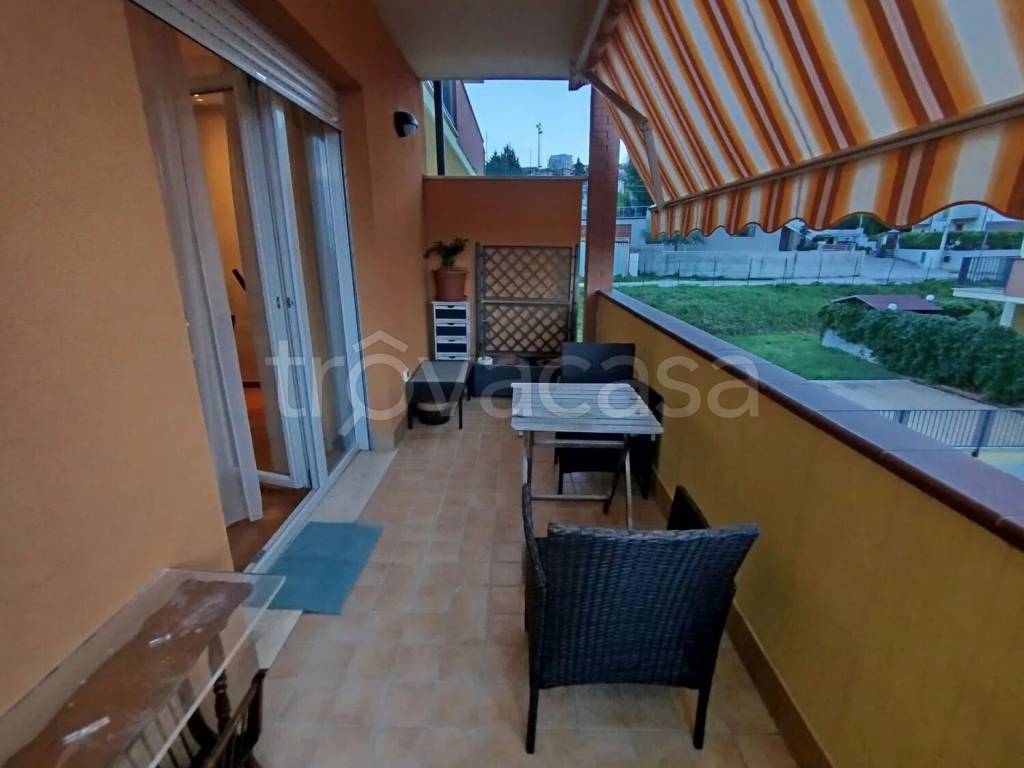 immagine annuncio 10 di 13