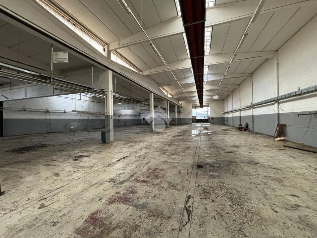 immagine annuncio 7 di 11