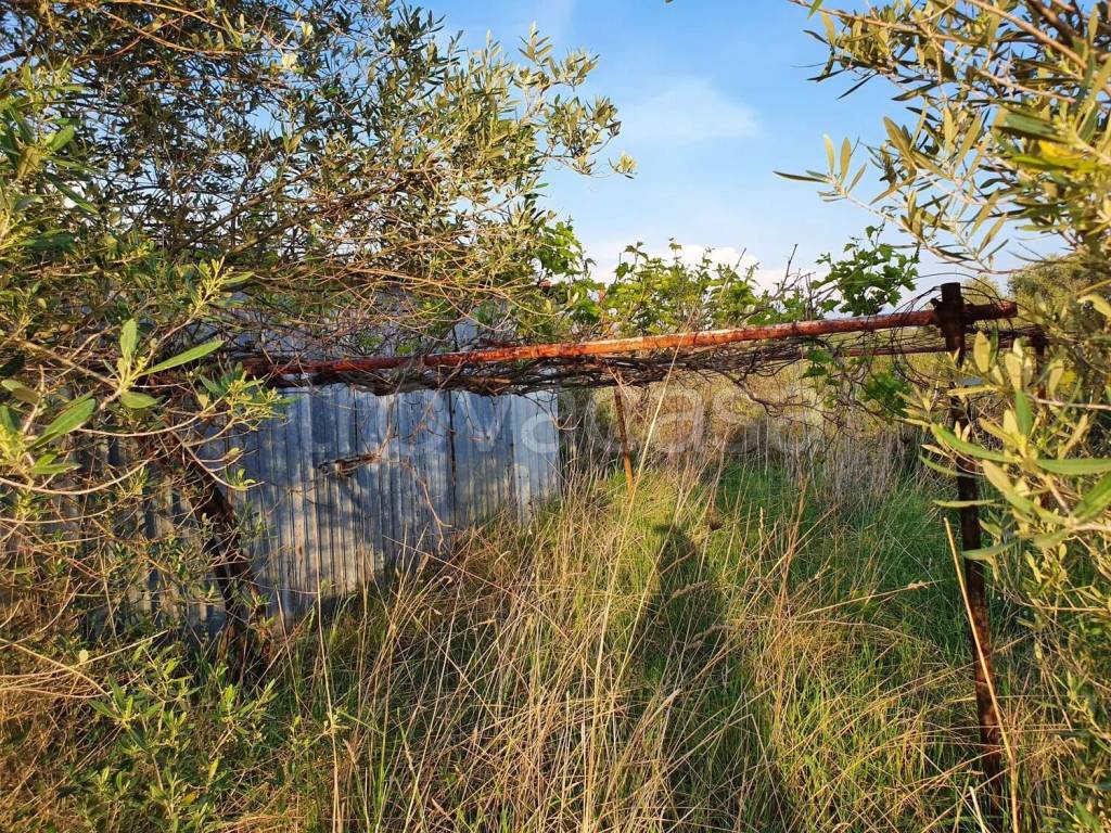 immagine annuncio 6 di 15