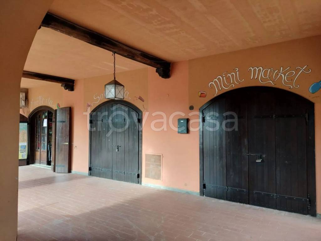 immagine annuncio 2 di 9