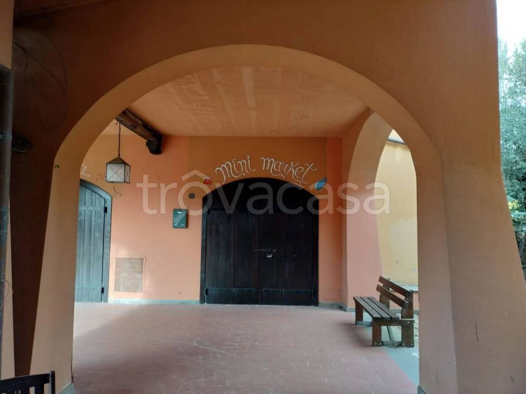 immagine annuncio 4 di 9