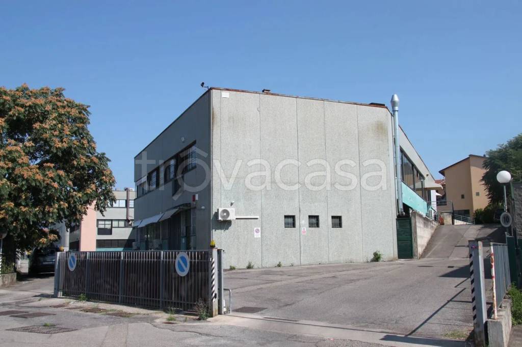 immagine annuncio 1 di 11