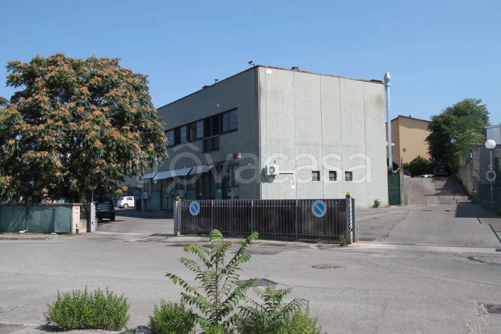 immagine annuncio 2 di 11