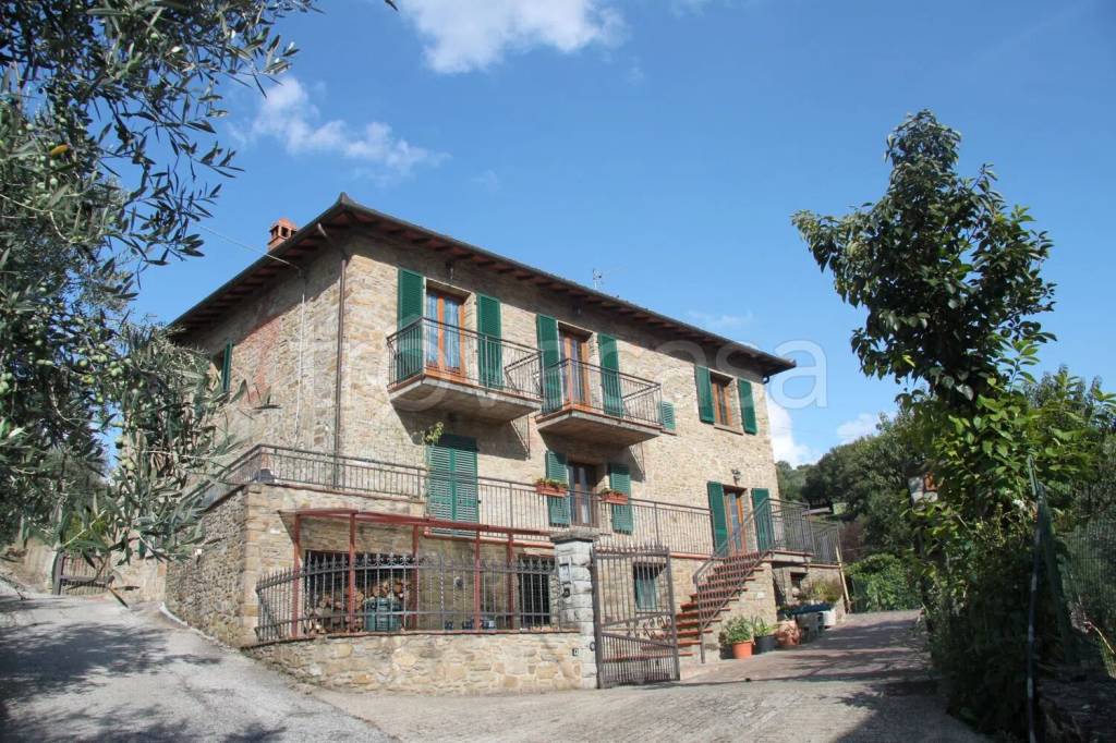 immagine annuncio 13 di 14