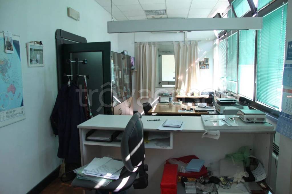 immagine annuncio 7 di 11